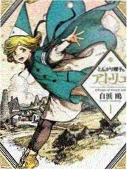 莲蓬与花蕊的微距画面，荷花背景视频免费细节卡位